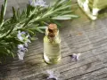Frischer Rosmarin mit Blüten neben einer kleinen Glasflasche, die zeigt, wie man Rosmarinextrakt herstellen kann.