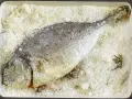 Orata al sale, intera e dorata, adagiata su un letto di sale grosso e rosmarino in una teglia rossa.