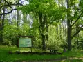 Rezerwat przyrody Borki - Tajemnice natury, które musisz poznać