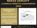 Czy sąd może rozłożyć nakaz zapłaty na raty? Sprawdź warunki i zasady