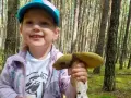 Do kiedy sezon na grzyby? Sprawdź, by nie przegapić ostatnich zbiorów