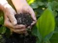 Mani che tengono un pugno di terra fertile, mostrando la ricchezza dei diversi tipi di suolo per la crescita delle piante.
