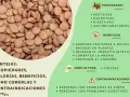 Primer plano de lentejas secas, con información sobre sus propiedades, beneficios y contraindicaciones. Aunque las lentejas engordan si se consumen en exceso, son nutritivas.