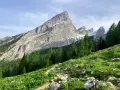 Pfad zum Watzmann. Grüne Almwiesen mit gelben Blumen und Felsen, im Hintergrund der majestätische Watzmann. Perfekt für eine Wanderung.
