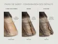 Comparaison des défauts de la paroi de sabot : ligne de stress (horizontale), seime (verticale) et fissure (rupture).
