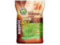 Jaki nawóz jesienny do trawnika? Odkryj najlepsze produkty i porady