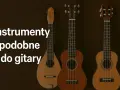 Trzy instrumenty strunowe, w tym mandolina i dwa ukulele, prezentują różnorodność instrumentów podobnych do gitary.