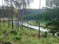 Malownicze jezioro Wilcze otoczone lasem sosnowym, z widocznym małym domkiem i kilkoma osobami spacerującymi nad wodą.