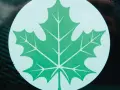 Zielony listek Orlen, symbol ekologii i troski o środowisko, widoczny na szybie.