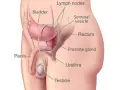 Masaż prostaty jak wykonać: bezpieczne techniki i korzyści zdrowotne