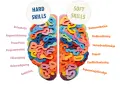 Bilden visar en hjärna uppdelad i "Hard Skills" och "Soft Skills". Den illustrerar vad som menas med skills, med exempel som programmering och kommunikation.