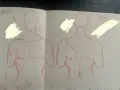 Szkic męskiej klatki piersiowej z przodu i z tyłu, z zaznaczonymi mięśniami.