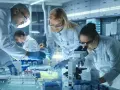 Naukowcy w laboratorium kryminalistycznym pracują nad próbkami. Zastanawiasz się, ile zarabia osoba w laboratorium kryminalistycznym?