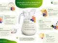 Die DGE empfiehlt täglich 2 Portionen Milchprodukte. Eine Portion sind 250 ml Milch, Kefir, Buttermilch oder 150g Joghurt.