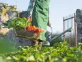 Un contadino porta un cesto di verdure fresche, tra cui lattuga e peperoni, e un annaffiatoio. La scena evoca la bellezza della raccolta di giugno.