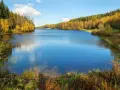 Herbstliche Farben umrahmen die Talsperre Falkenstein. Das Wasser spiegelt den blauen Himmel und die bunten Bäume wider.