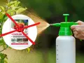 Opryskiwacz z zieloną końcówką i białą butelką, rozpylający mgiełkę. Obok opakowanie Mospilan z przekreśleniem, sugerujące koniec stosowania i karencję.