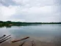 Ein Schwan schwimmt auf dem ruhigen Kiesgrubensee Gremberghoven, umgeben von grünen Bäumen unter einem bewölkten Himmel.