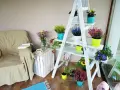 Kwietnik z drabiny: Jak krok po kroku stworzyć modną dekorację DIY?