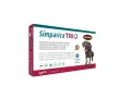 Tribiotic dla psa? Zanim użyjesz: ryzyko i bezpieczne alternatywy