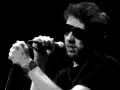 Chanteur d'un groupe irlandais punk, lunettes de soleil, micro en main, sur scène.