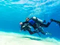 Marsa Alam: Co warto zobaczyć? Podwodne cuda i pustynne przygody