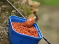 Zbliżenie na niebieskie pudełko z pomarańczowym pelletem, idealnym jako jaki pellet do metody na karpia. Na wierzchu znajduje się podajnik z przynętą.