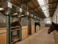 Chevaux dans des boxes modernes, avec mangeoires automatiques. Le prix d'un manège 60x20 est peut-être abordable pour un tel confort.