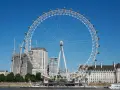 Widok na London Eye z kapsułami i budynkami w tle. Sprawdź aktualną london eye cena, by zaplanować wizytę.