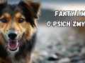 Uroczy piesek z otwartym pyskiem. Tekst na obrazku: "Fakty i mity o psich zmysłach". Poznaj fascynujące ciekawostki o psach!