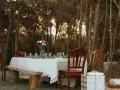 A beautifully set table in a forest clearing, ready for the reception and care of guests. String lights twinkle above, and a floral centerpiece graces the linen-covered table.