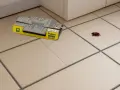 Una cucaracha se encuentra cerca de una caja de trampas adhesivas Preben, lista para desinfectar cucarachas.