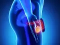 Czy mężczyzna ma jajniki? Odkryj prawdę o anatomii płciowej