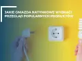 Jakie gniazda natynkowe wybrać? Przegląd popularnych produktów. Dłoń trzyma wtyczkę i żarówkę, obok gniazdko.
