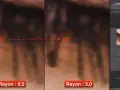 Comparaison de la netteté photo gratuit : rayon 0,5 vs 3,0. Zoom sur des cils, montrant l'impact du réglage du rayon sur la netteté.