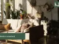 Słoneczny styl boho salonu z mnóstwem roślin, plecionym koszem i słomkowym kapeluszem na ścianie.