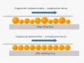 Porównanie oleju mineralnego (cząsteczki niejednorodne, większe tarcie) i syntetycznego (cząsteczki jednorodne, mniejsze tarcie). Różne rodzaje olejów silnikowych.