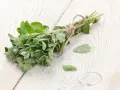 Pęczek świeżego oregano, znanego z tego, że jest jednym z najsilniejszych ziół przeciwgrzybiczych, leży na drewnianym blacie.