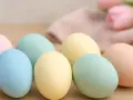 Huevos de pascua para pintar en tonos pastel, listos para decorar. Flores y tela suave al fondo.
