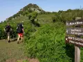 Deux randonneurs suivent un sentier bordé de fougères. Un panneau indique la direction de Mare a Mare Nord.