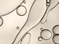 Gocce d'olio e acqua creano forme astratte, ricordando la struttura di un c13-15 alkane.