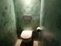Toilettes modernes dans une pièce aux murs recouverts d'un papier peint botanique bleu-vert. La **couleur toilette** est blanche, contrastant avec le décor.