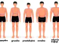 Ilustracja pokazuje pięć typów sylwetek męskich: klepsydra, gruszka, prostokątna, owalna i odwrócony trójkąt. Pomaga dobrać odpowiednie rodzaje spodni męskich.