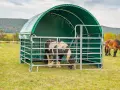 Deux chevaux dans un pré, l'un sous un abri vert. Idéal pour le tarif location pâture pour chevaux.