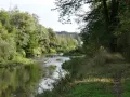 Malowniczy zakręt rzeki, idealny na rowerowy Cieszyn. Zielone drzewa odbijają się w spokojnej wodzie, a ścieżka wije się wśród traw.