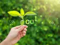 Chiny: Lider emisji CO2 czy zielonej rewolucji?