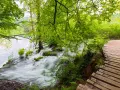 Drewniana ścieżka wije się wzdłuż kaskad i turkusowej wody. Park Narodowy Jezior Plitwickich zachwyca bujną zielenią i szumem wodospadów.