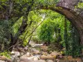 Un arroyo serpentea bajo un puente de piedra cubierto de vegetación, parte de la ruta arroyo de la miel.