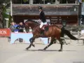 Cavalier en tenue d'équitation sur un cheval brun, en plein saut. Le **cash du Plessis** est visible sur le harnais du cheval.