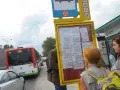 Ludzie sprawdzają 79 rozkład jazdy na przystanku. Autobus linii 39 stoi obok.